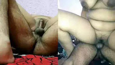 Sexsaneleon - Xxsaneleon hot porn videos on Indianhamster.pro