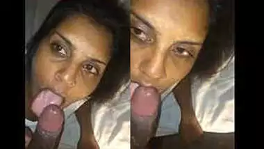 Xxxcva hot porn videos on Indianhamster.pro