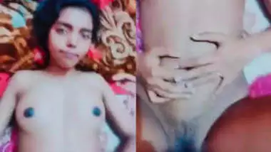 Sexteluguvideo hot porn videos on Indianhamster.pro